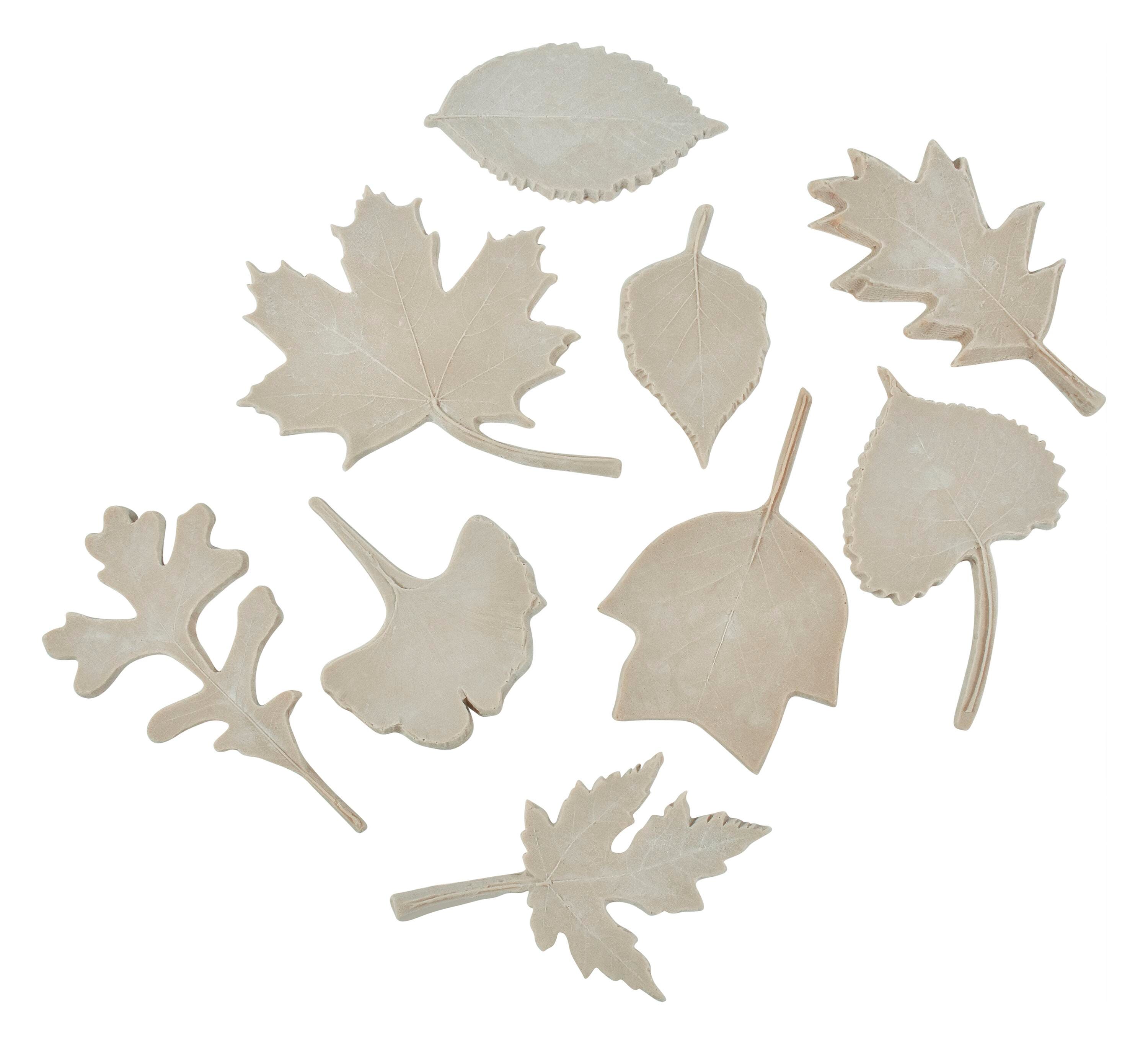 Sax Leaf Impressions Print Set, Assorted Sizes, Set of 10 401957